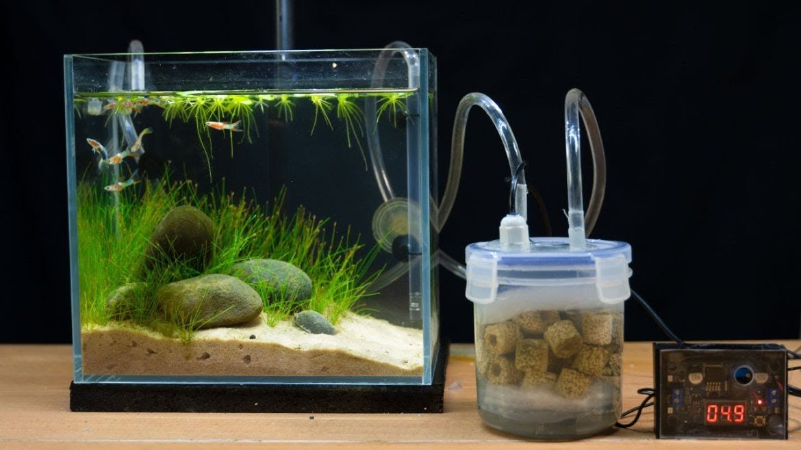 A Note On fish tank filter